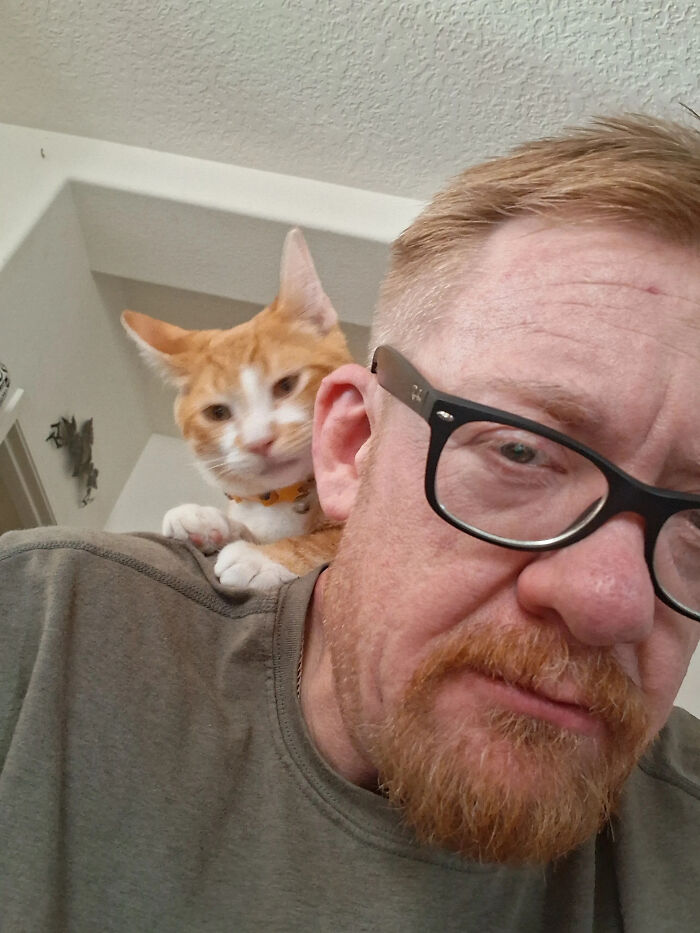 50 Times Pets Looked So Much Like Their Owners, We Had To Look Twice 50 Times Pets Looked So Much Like Their Owners, We Had To Look Twice