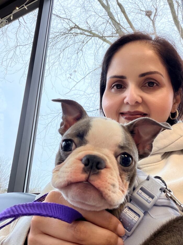 50 Times Pets Looked So Much Like Their Owners, We Had To Look Twice 50 Times Pets Looked So Much Like Their Owners, We Had To Look Twice