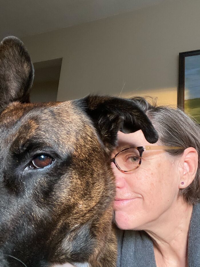 50 Times Pets Looked So Much Like Their Owners, We Had To Look Twice 50 Times Pets Looked So Much Like Their Owners, We Had To Look Twice