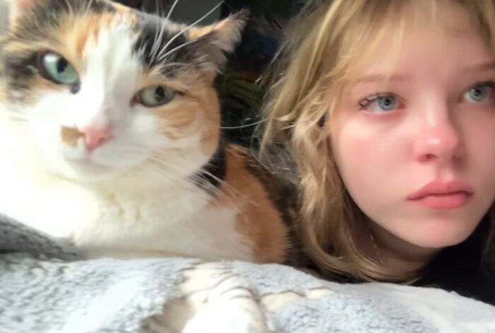 50 Times Pets Looked So Much Like Their Owners, We Had To Look Twice 50 Times Pets Looked So Much Like Their Owners, We Had To Look Twice