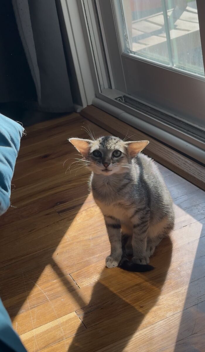 Herbie&rsquo;s Unusual Face Made Him Stand Out, But His Personality Is What Won Everyone Over