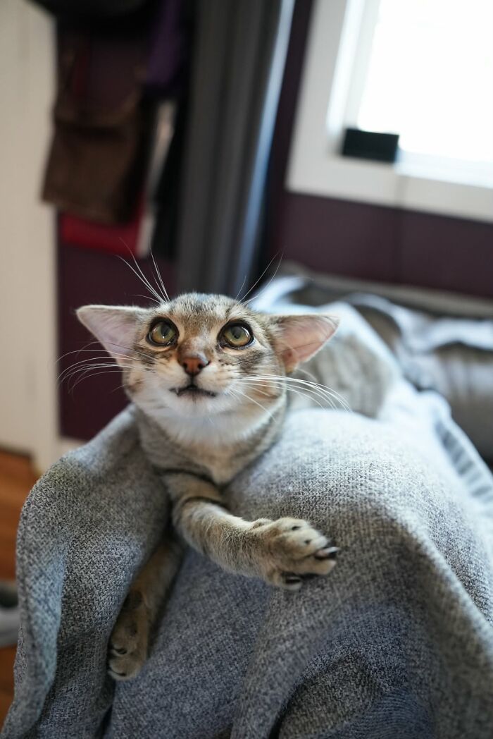 Herbie&rsquo;s Unusual Face Made Him Stand Out, But His Personality Is What Won Everyone Over