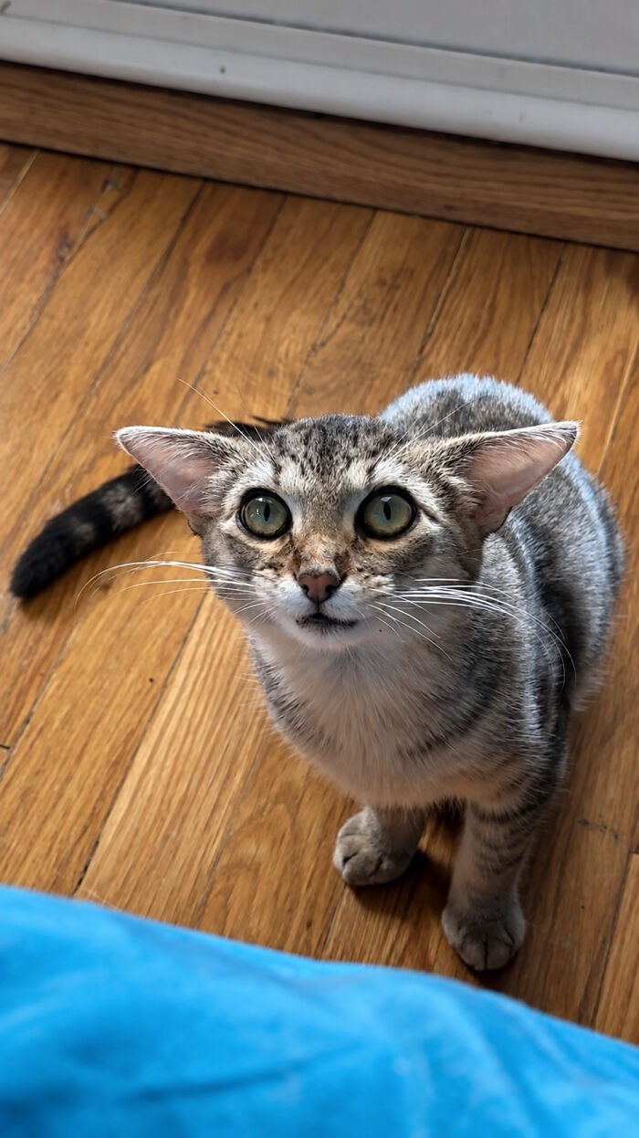 Herbie&rsquo;s Unusual Face Made Him Stand Out, But His Personality Is What Won Everyone Over