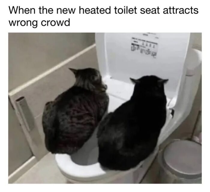 This Page Shared 30 Funny Posts Showing What Life Looks Like When Your Roommate Is A Cat This Page Shared 30 Funny Posts Showing What Life Looks Like When Your Roommate Is A Cat