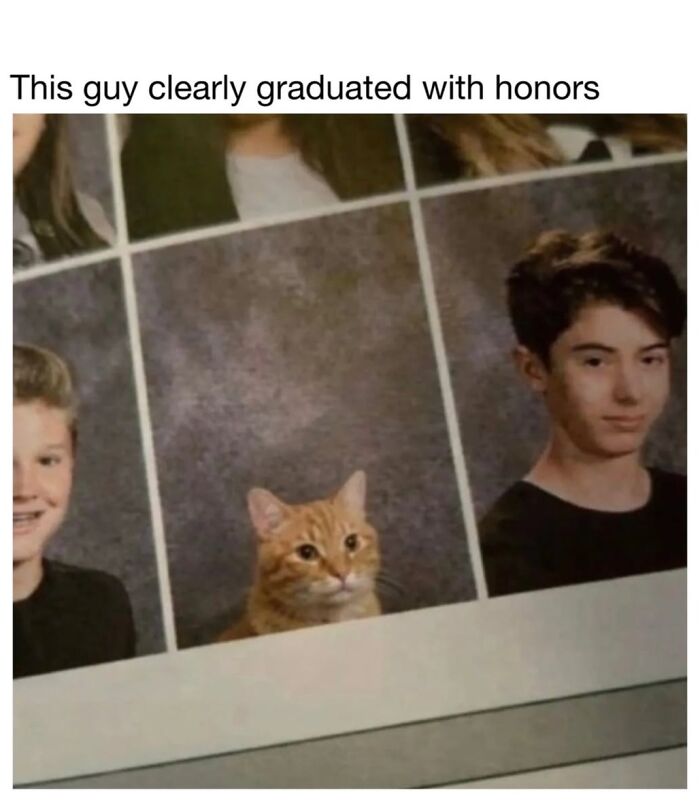 This Page Shared 30 Funny Posts Showing What Life Looks Like When Your Roommate Is A Cat This Page Shared 30 Funny Posts Showing What Life Looks Like When Your Roommate Is A Cat
