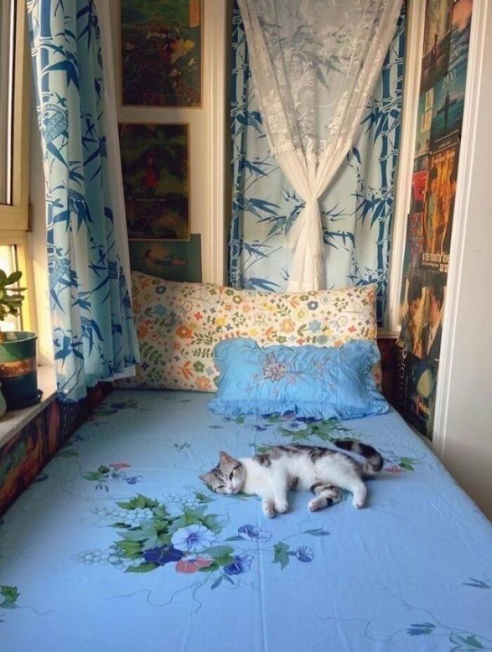 This Page Shared 57 Pics Of Cats Caught Looking Unreasonably Human In The Funniest Ways