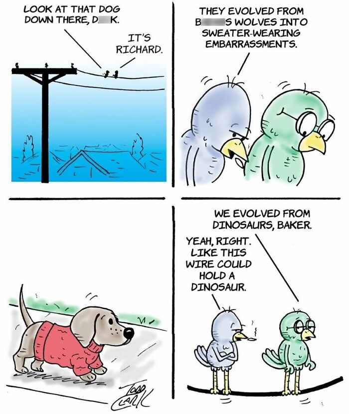 25 Funny Comics By Todd Clark That Take Everyday Life In Unexpected Directions