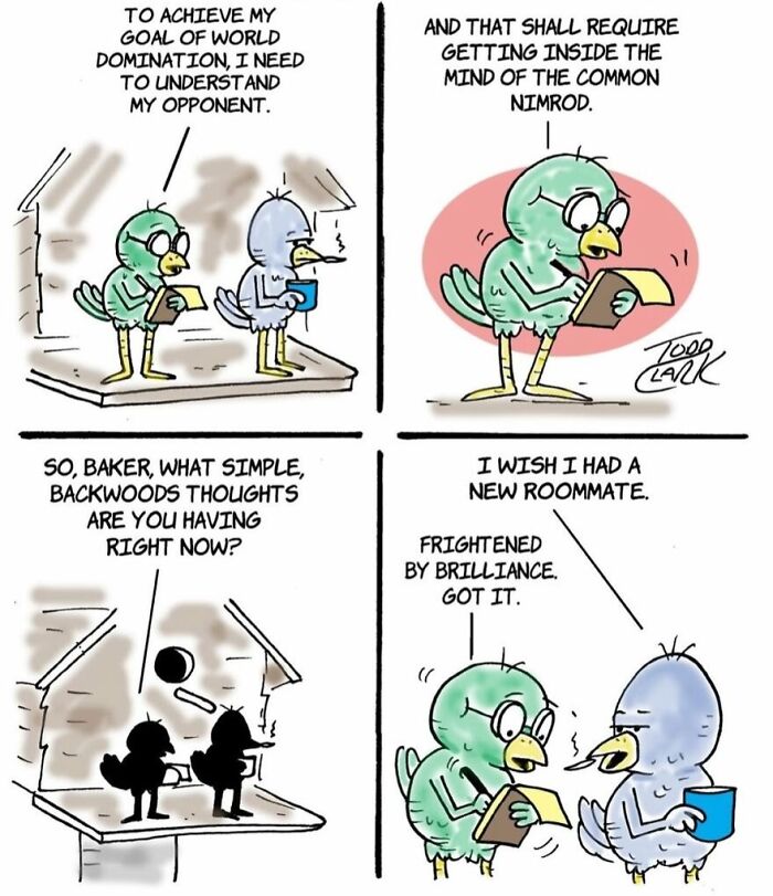 25 Funny Comics By Todd Clark That Take Everyday Life In Unexpected Directions