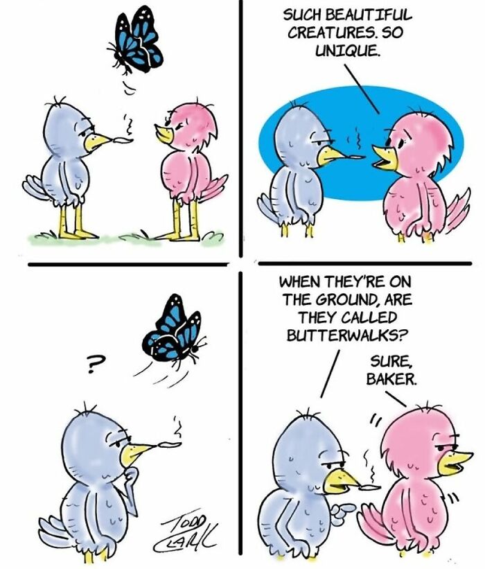 25 Funny Comics By Todd Clark That Take Everyday Life In Unexpected Directions