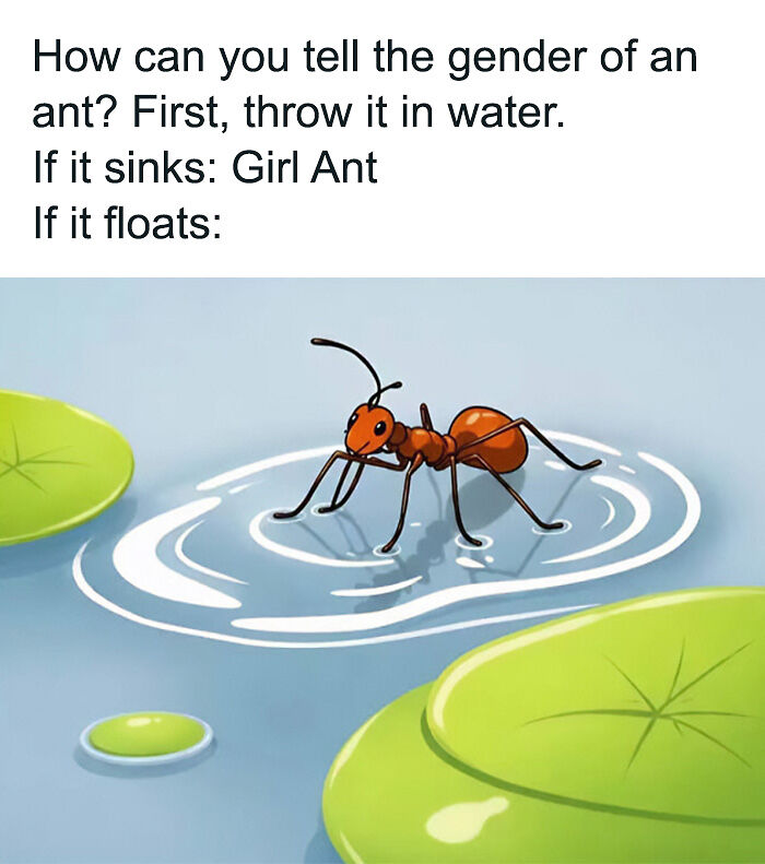 70 Edgy Memes That Might Make You Question Your Sense Of Humor 70 Edgy Memes That Might Make You Question Your Sense Of Humor