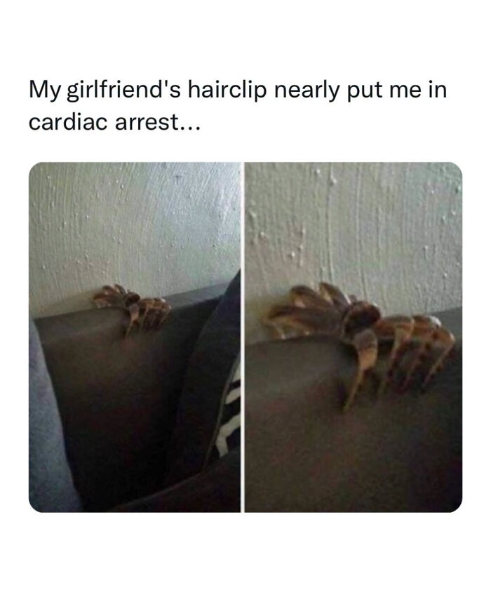 70 Edgy Memes That Might Make You Question Your Sense Of Humor 70 Edgy Memes That Might Make You Question Your Sense Of Humor