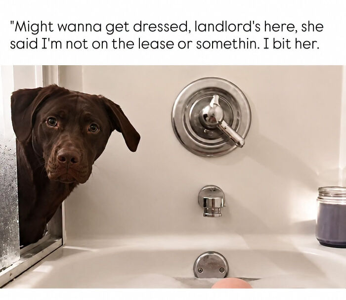 70 Edgy Memes That Might Make You Question Your Sense Of Humor 70 Edgy Memes That Might Make You Question Your Sense Of Humor