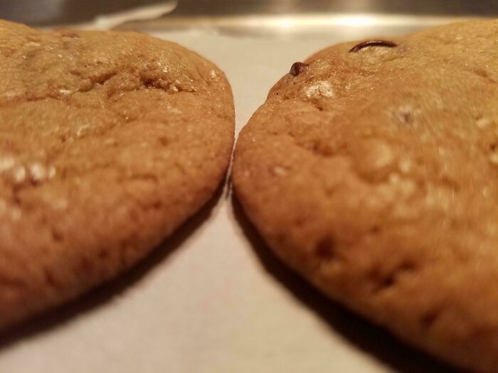 66 Clever, Satisfying And Interesting Posts To Keep You Very Entertained