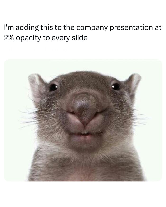 49 Memes From A Page With 1 Million Followers That Clearly Knows What The Internet Finds Funny 49 Memes From A Page With 1 Million Followers That Clearly Knows What The Internet Finds Funny