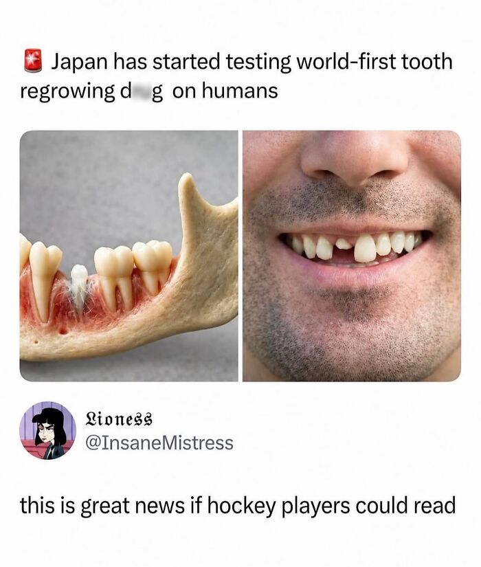 49 Memes From A Page With 1 Million Followers That Clearly Knows What The Internet Finds Funny 49 Memes From A Page With 1 Million Followers That Clearly Knows What The Internet Finds Funny