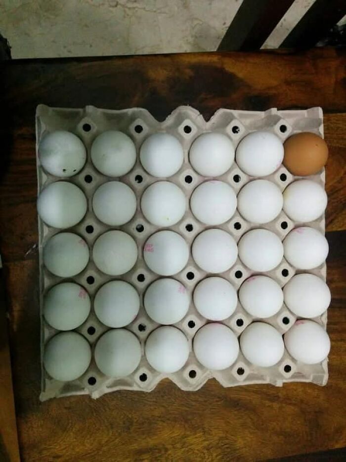 98 Photos That Perfectionists Might Want To Burn, Put The Ashes In A Box And Release It Into The Ocean 98 Photos That Perfectionists Might Want To Burn, Put The Ashes In A Box And Release It Into The Ocean