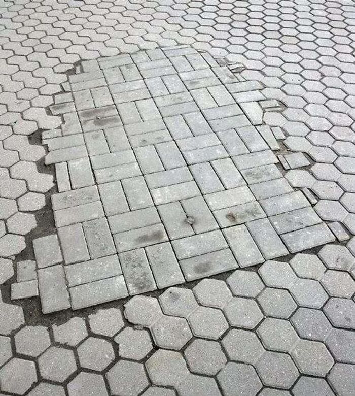 98 Photos That Perfectionists Might Want To Burn, Put The Ashes In A Box And Release It Into The Ocean 98 Photos That Perfectionists Might Want To Burn, Put The Ashes In A Box And Release It Into The Ocean