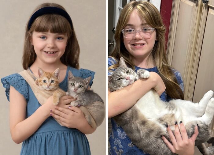 38 Before-And-After Photos Of Kittens Who Took ‘Growing Up’ Very Seriously 38 Before-And-After Photos Of Kittens Who Took ‘Growing Up’ Very Seriously