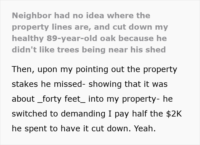 Entitled Neighbor Cuts Down Healthy 89-Year-Old Oak Without Asking, Demands To Split The $2,000 Cost