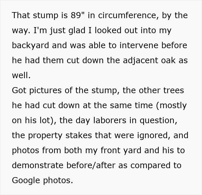 Entitled Neighbor Cuts Down Healthy 89-Year-Old Oak Without Asking, Demands To Split The $2,000 Cost