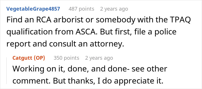Entitled Neighbor Cuts Down Healthy 89-Year-Old Oak Without Asking, Demands To Split The $2,000 Cost
