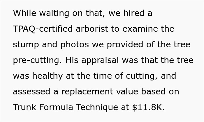 Entitled Neighbor Cuts Down Healthy 89-Year-Old Oak Without Asking, Demands To Split The $2,000 Cost