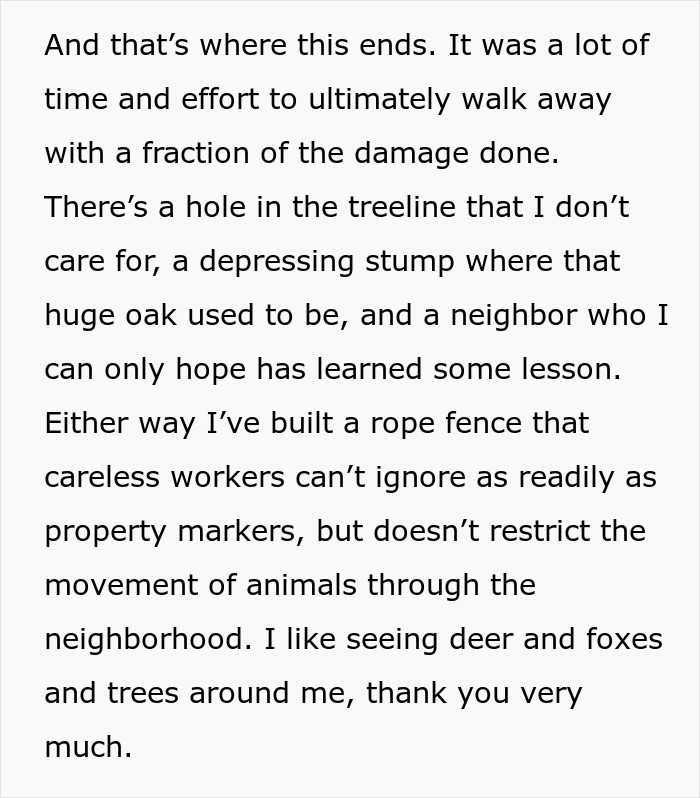 Entitled Neighbor Cuts Down Healthy 89-Year-Old Oak Without Asking, Demands To Split The $2,000 Cost