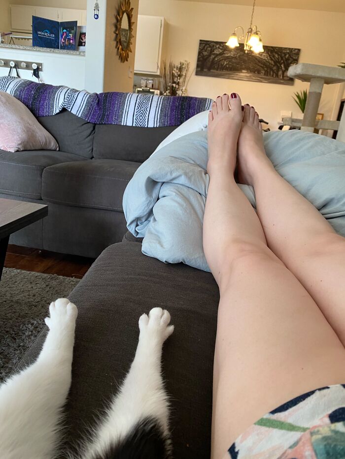 73 Cat Lovers Shared Their Pets&rsquo; Most Ridiculous Positions In This Viral Threads Thread