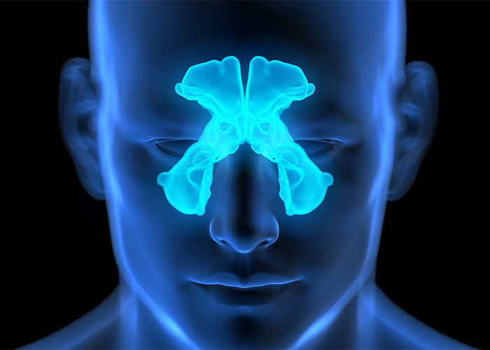&ldquo;Is Picking Your Nose Actually Bad For You? Human Anatomy Reveals A Surprisingly Nuanced Answer