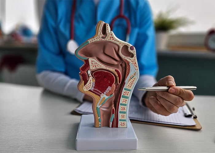 &ldquo;Is Picking Your Nose Actually Bad For You? Human Anatomy Reveals A Surprisingly Nuanced Answer