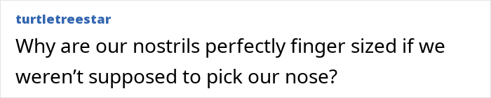 &ldquo;Is Picking Your Nose Actually Bad For You? Human Anatomy Reveals A Surprisingly Nuanced Answer