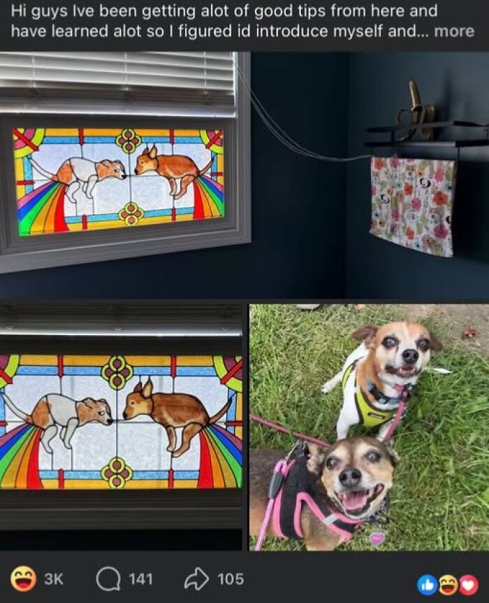 65 Hilarious Crafts And Art Projects That Definitely Deserve To Be Shamed (New Pics)