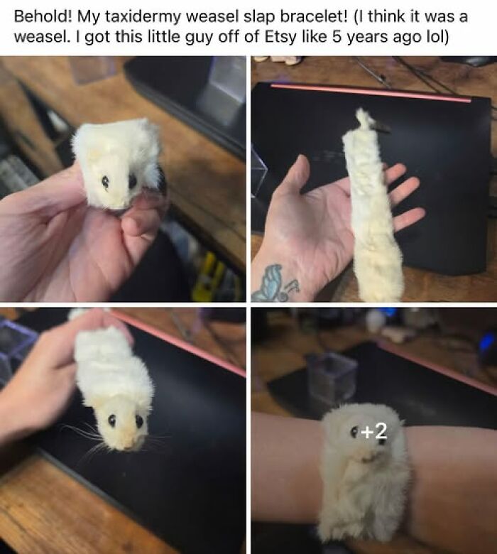 65 Hilarious Crafts And Art Projects That Definitely Deserve To Be Shamed (New Pics)