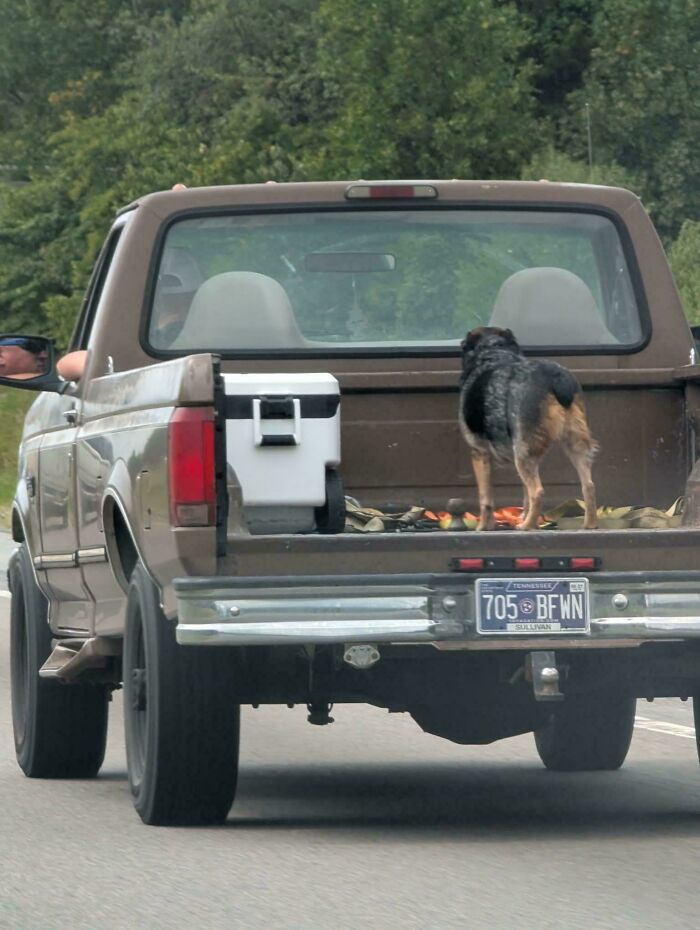 68 Photos Of Decisions So Questionable You&rsquo;ll Want To Ask What The Thought Process Was