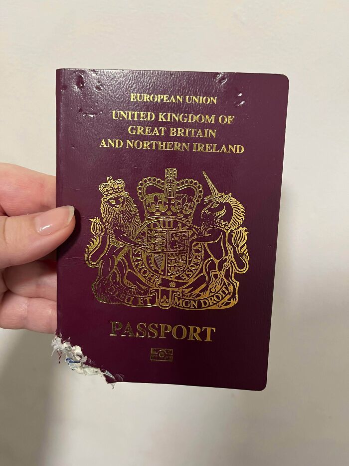 68 Photos Of Decisions So Questionable You&rsquo;ll Want To Ask What The Thought Process Was