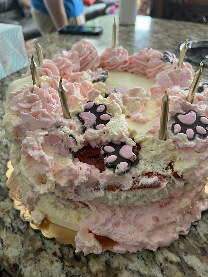 68 Photos Of Decisions So Questionable You&rsquo;ll Want To Ask What The Thought Process Was