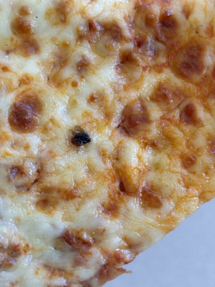 68 Photos Of Decisions So Questionable You&rsquo;ll Want To Ask What The Thought Process Was