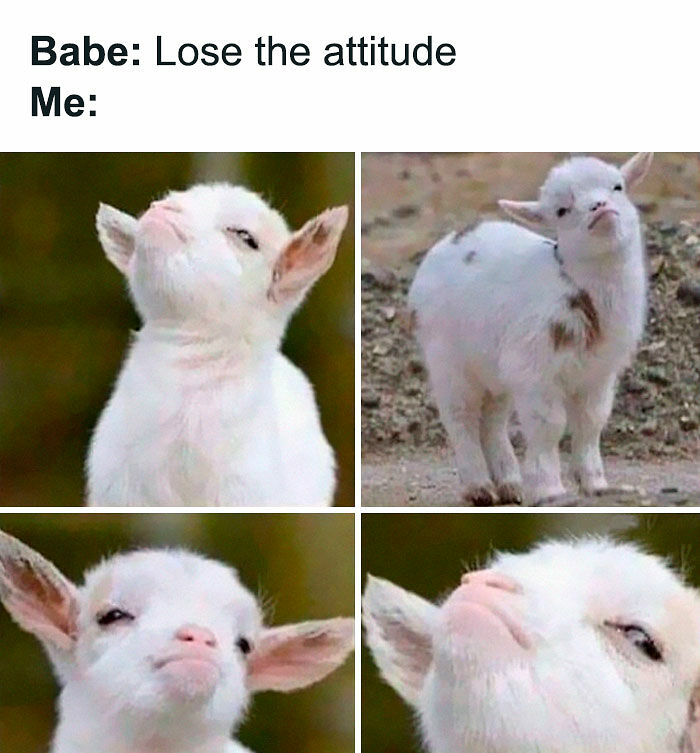 63 Memes So Random You&rsquo;ll Never Guess What The Next One Is Going To Be