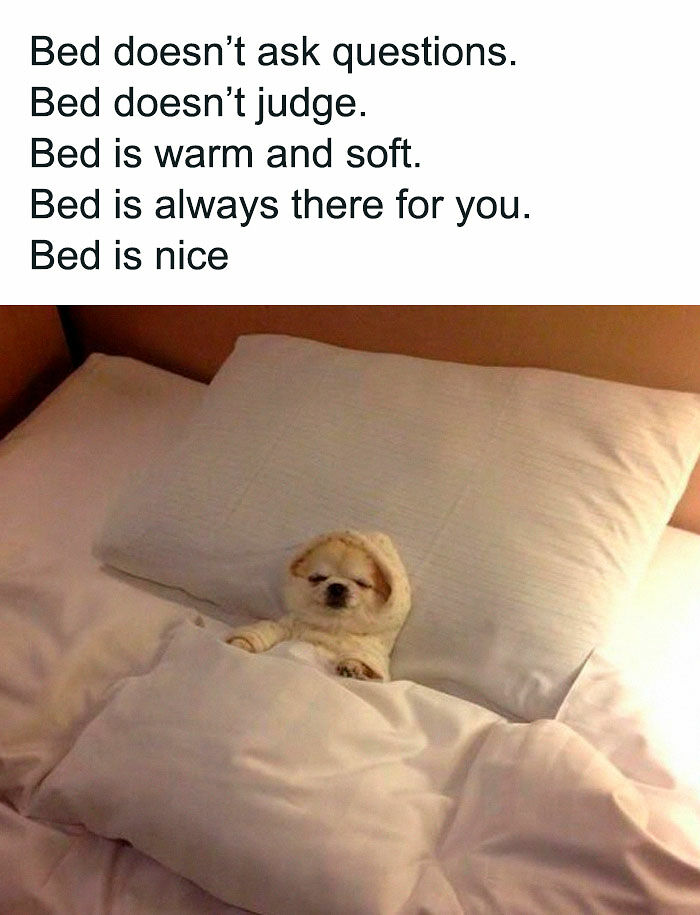 63 Memes So Random You&rsquo;ll Never Guess What The Next One Is Going To Be