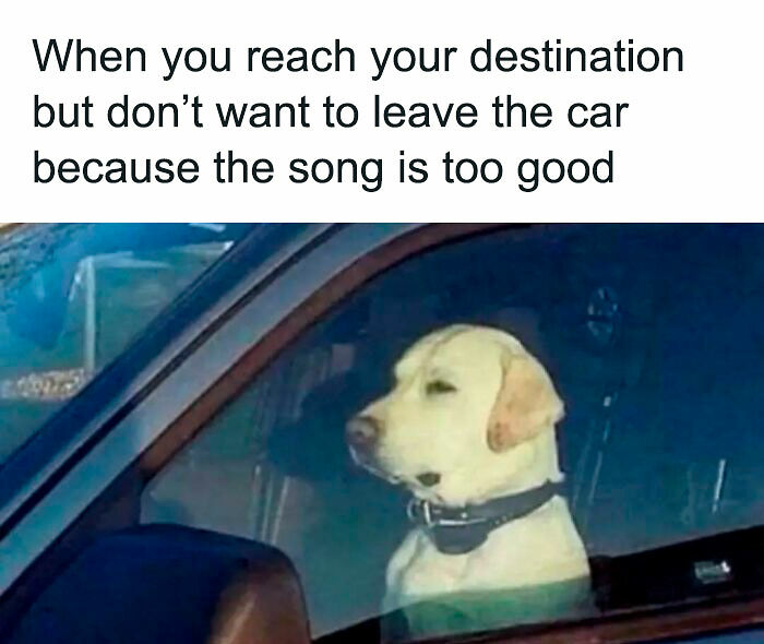 63 Memes So Random You&rsquo;ll Never Guess What The Next One Is Going To Be