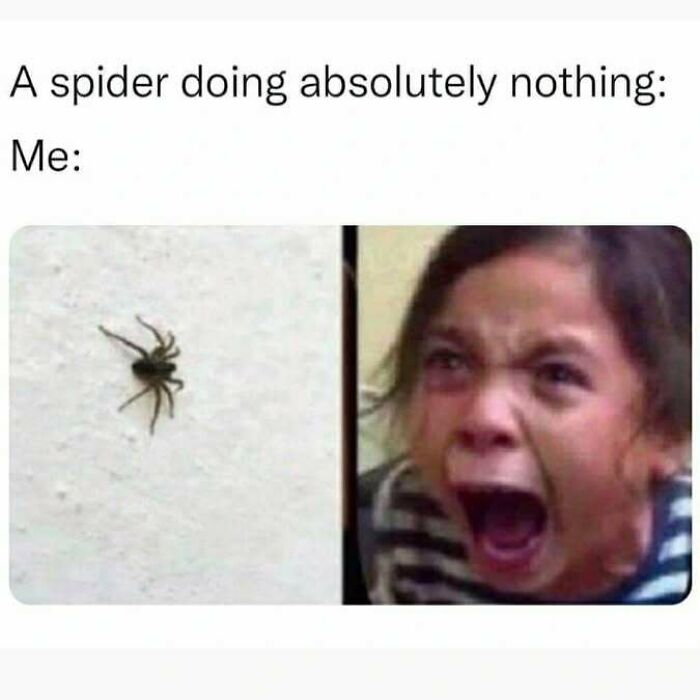 63 Memes So Random You&rsquo;ll Never Guess What The Next One Is Going To Be
