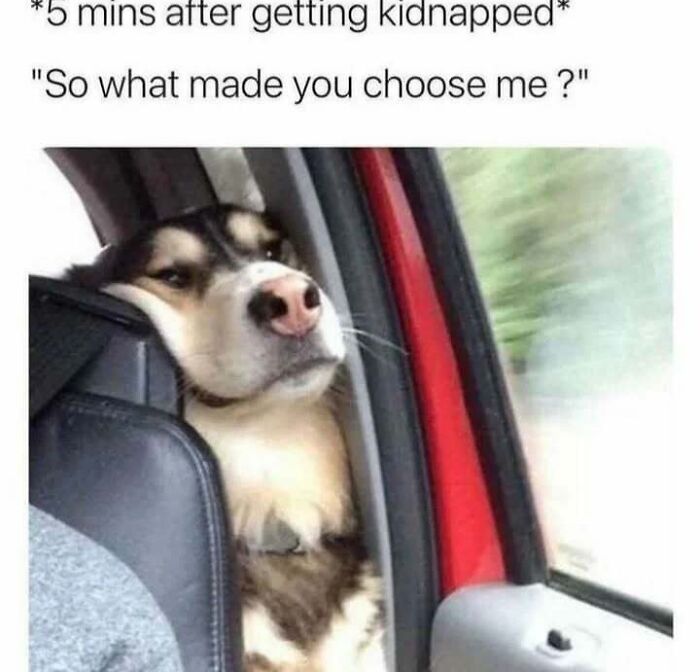 63 Memes So Random You&rsquo;ll Never Guess What The Next One Is Going To Be
