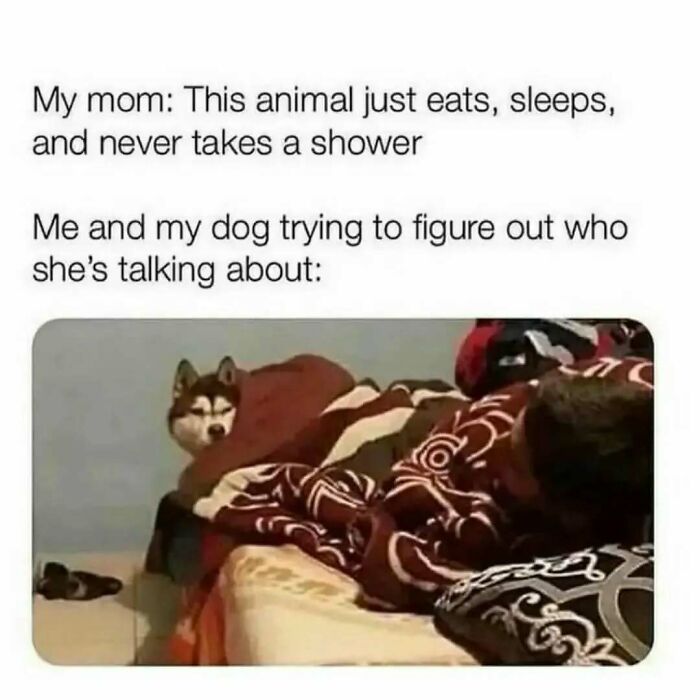 63 Memes So Random You&rsquo;ll Never Guess What The Next One Is Going To Be