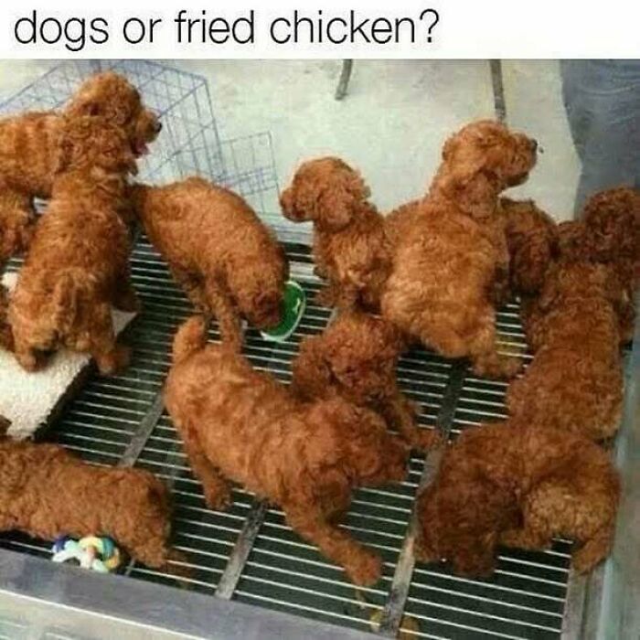 63 Memes So Random You&rsquo;ll Never Guess What The Next One Is Going To Be