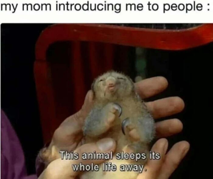 63 Memes So Random You&rsquo;ll Never Guess What The Next One Is Going To Be