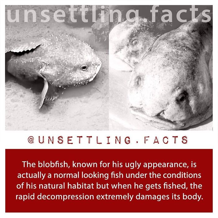69 Creepy And Unsettling Facts You Might End Up Thinking About At 3 AM