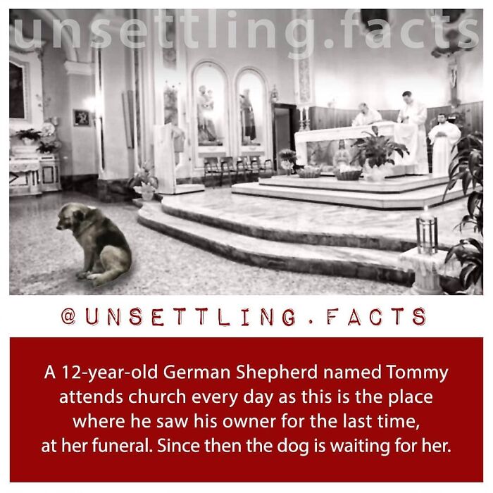 69 Creepy And Unsettling Facts You Might End Up Thinking About At 3 AM