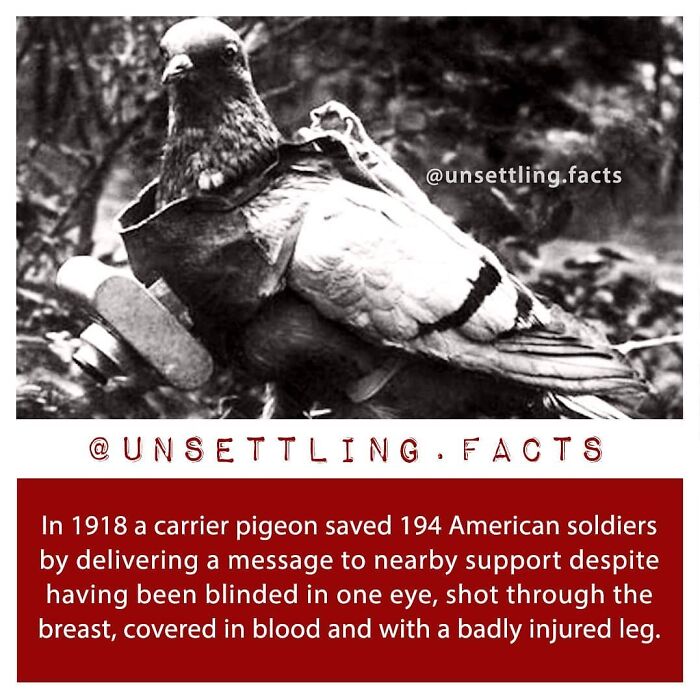 69 Creepy And Unsettling Facts You Might End Up Thinking About At 3 AM