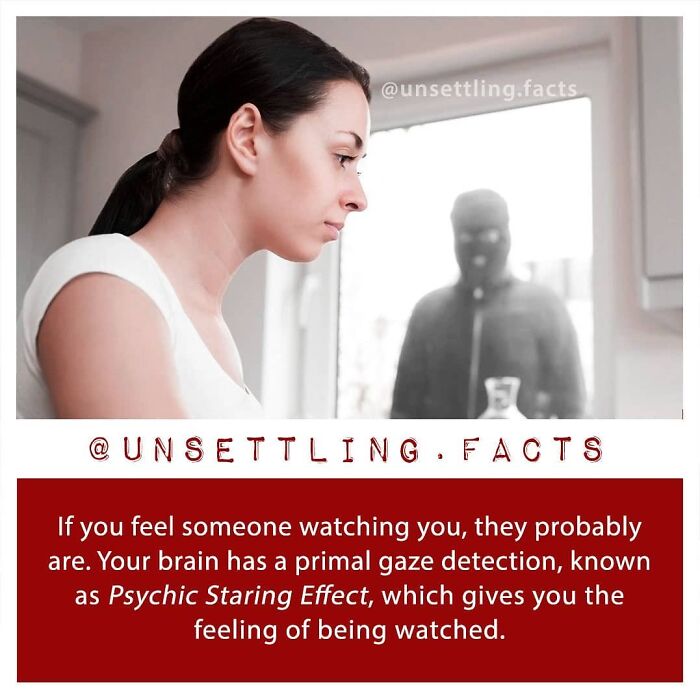 69 Creepy And Unsettling Facts You Might End Up Thinking About At 3 AM
