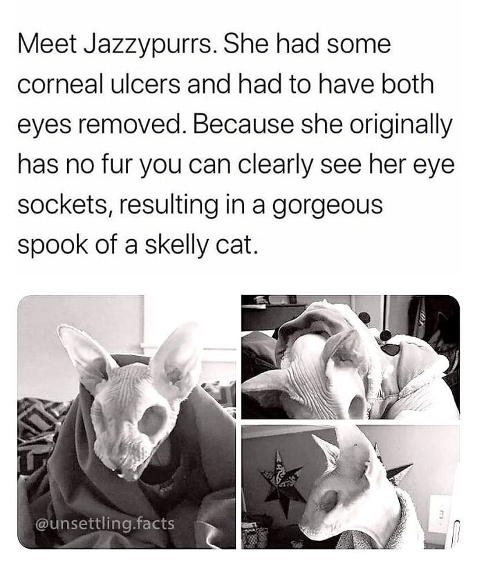 69 Creepy And Unsettling Facts You Might End Up Thinking About At 3 AM